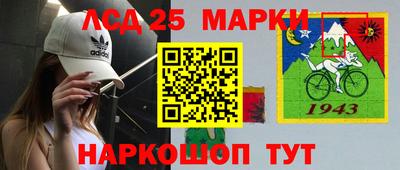 амф Гатчина