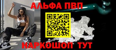 амф Гатчина
