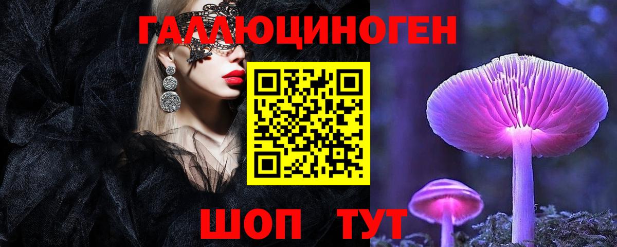 где можно купить наркотик  Псилоцибиновые грибы Magic Shrooms  Вход с VPN  Псилоцибиновые грибы Psilocybe  Грязи 