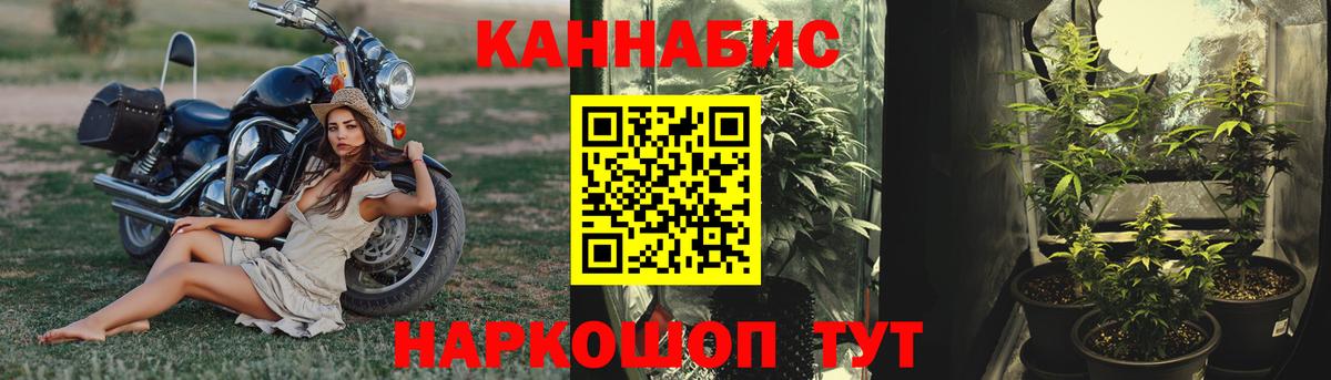 МАРИХУАНА SATIVA & INDICA Грязи